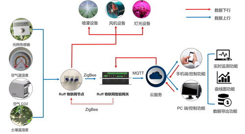可視化農(nóng)業(yè)軟件開發(fā) 創(chuàng)新技術(shù)與應(yīng)用前景